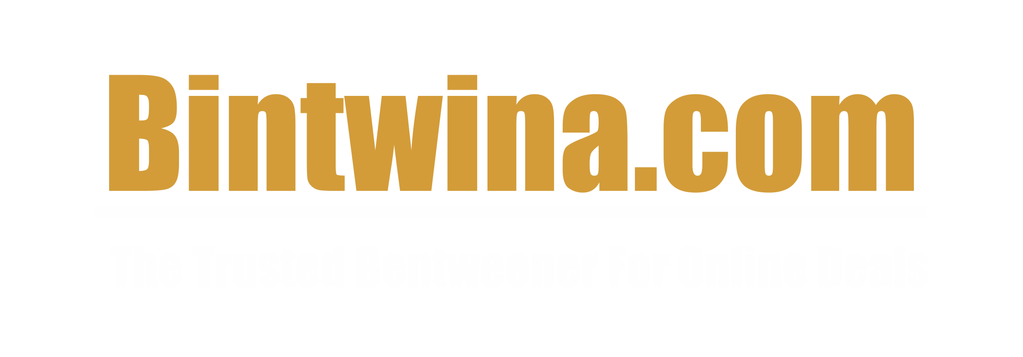 Bintwina.com